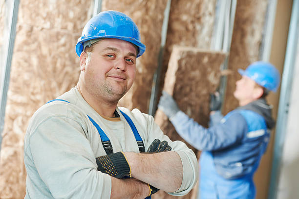 Best Eco-Friendly Insulation in Frent Hills, MO