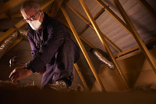 Best Fiberglass Insulation in Frent Hills, MO